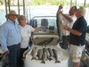 (05/11/2014) - Nice Striped Bass